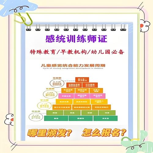 2026年國(guó)家承認(rèn)的感統(tǒng)訓(xùn)練師證書(shū)與教育信息咨詢指南